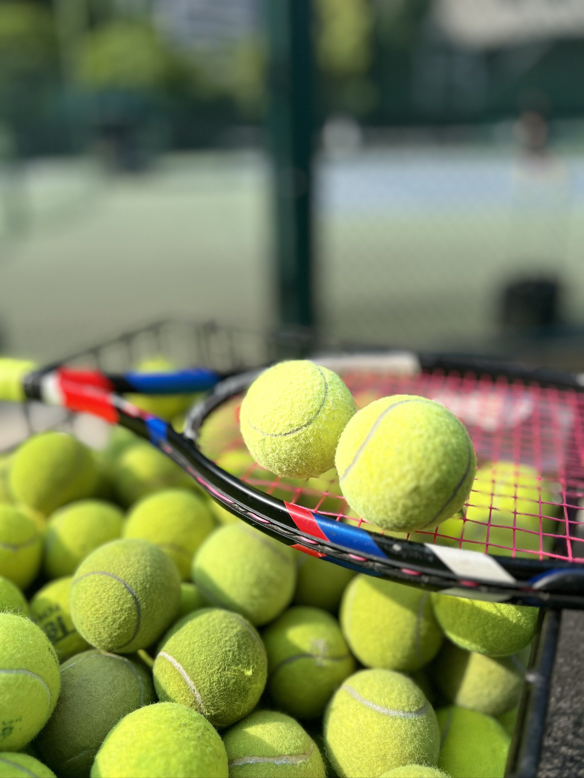 发展的强大 发展的强大