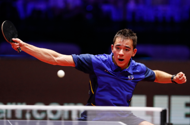 该继续培育 该继续培育