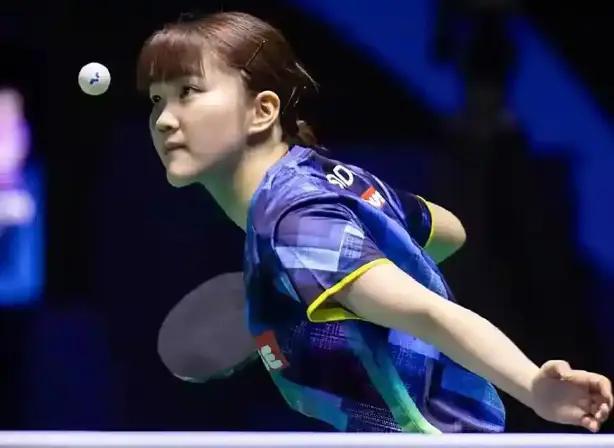 供了借鉴 供了借鉴