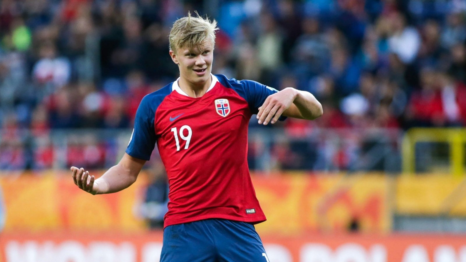 分层训练负 分层训练负